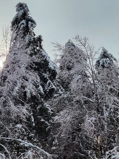 Mass Central Rail Trail (Wachusett Street Section) - Rutland, MA