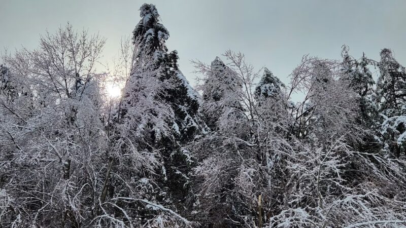 Mass Central Rail Trail (Wachusett Street Section) - Rutland, MA