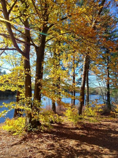 Rutland Park Area - Rutland, MA