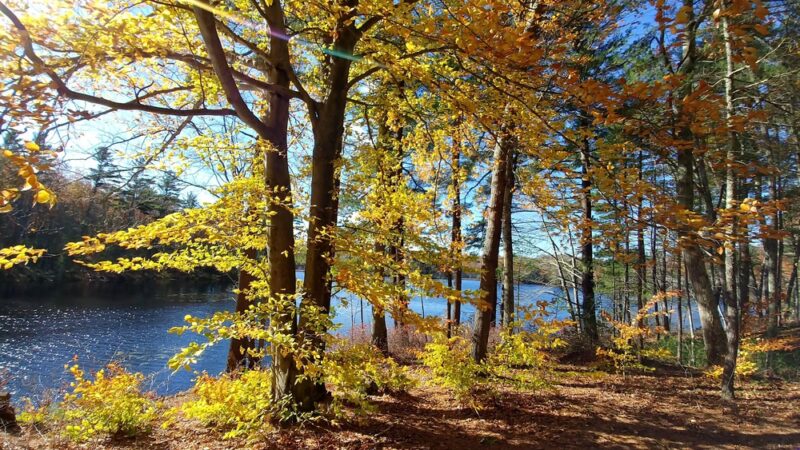 Rutland Park Area - Rutland, MA