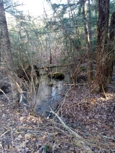 Rutland Park Area - Rutland, MA