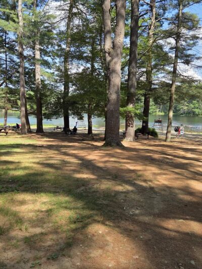 Rutland State Park - Rutland, MA