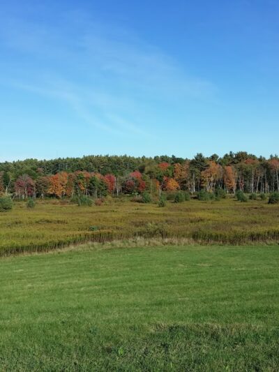 Rutland State Park - Rutland, MA