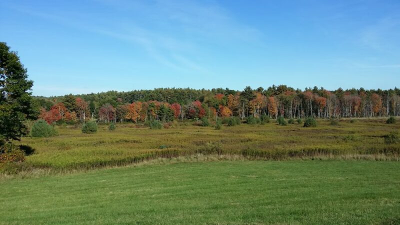 Rutland State Park - Rutland, MA