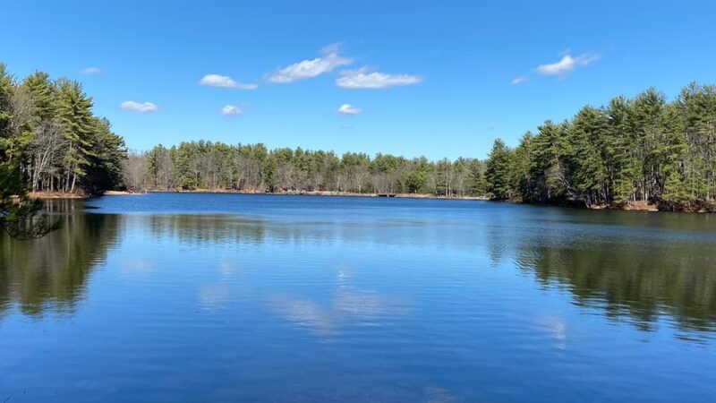 Rutland State Park Beach - Rutland, MA