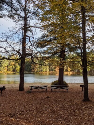 Rutland State Park Beach - Rutland, MA