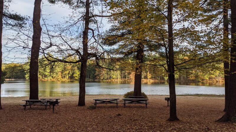 Rutland State Park Beach - Rutland, MA