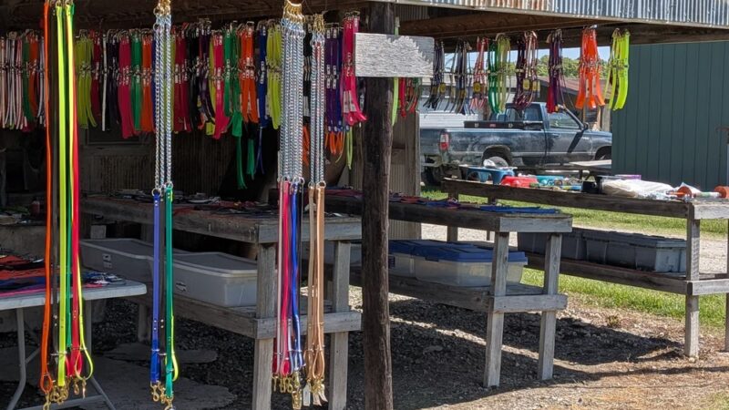 Rutledge Flea Market - Rutledge, MO