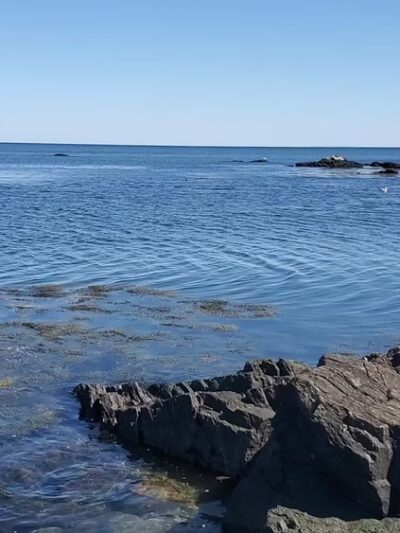 Odiorne Point State Park - Rye, NH