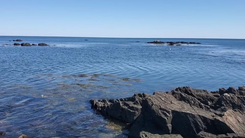 Odiorne Point State Park - Rye, NH