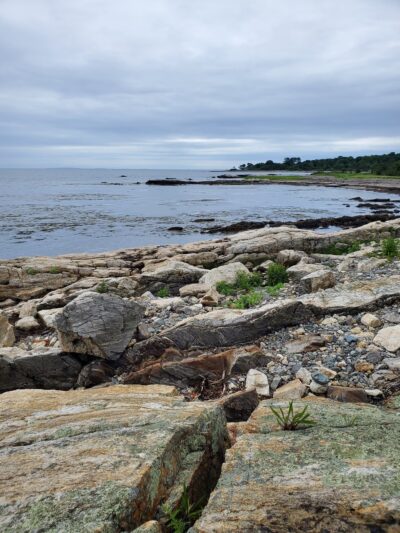 Odiorne Point State Park - Rye, NH