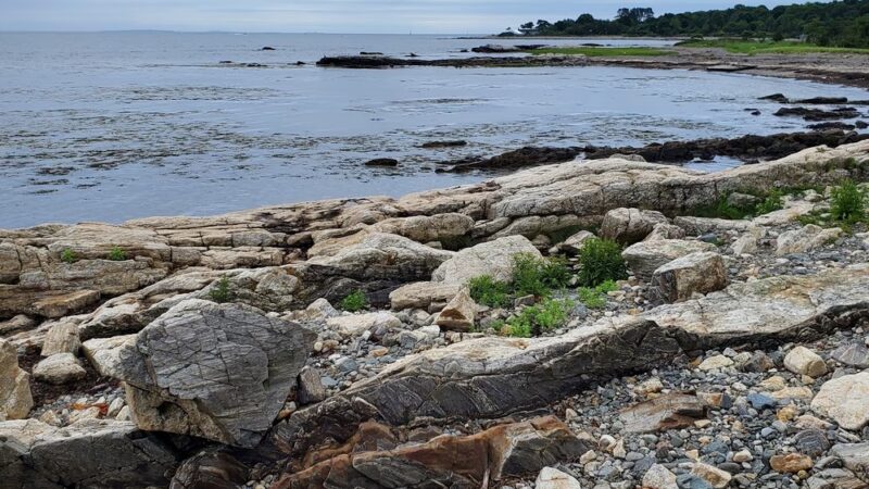 Odiorne Point State Park - Rye, NH