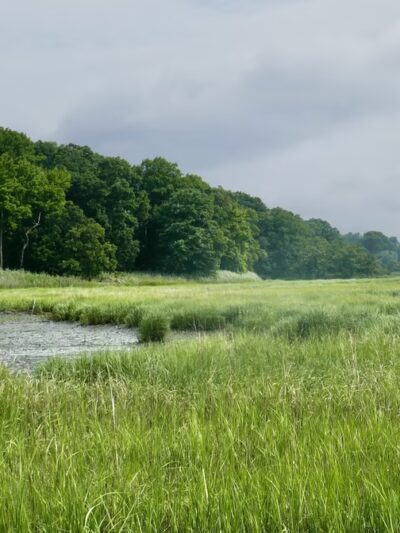 Marshlands Conservancy - Rye, NY
