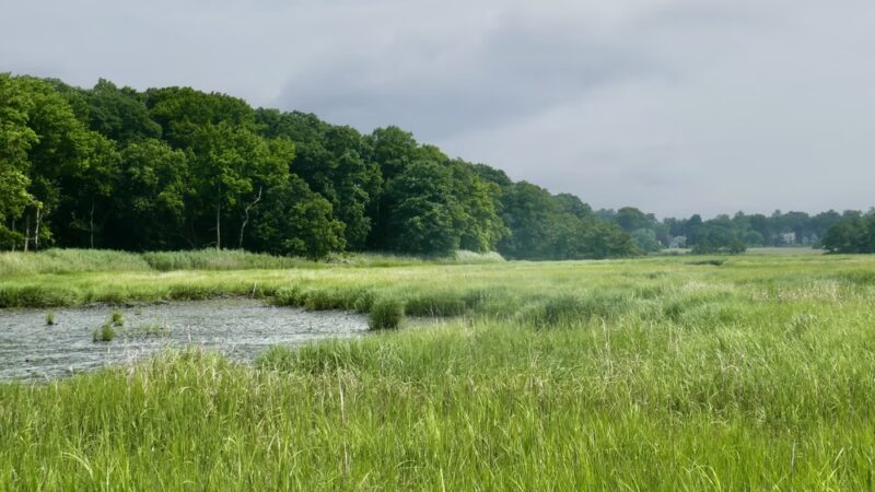 Marshlands Conservancy - Rye, NY