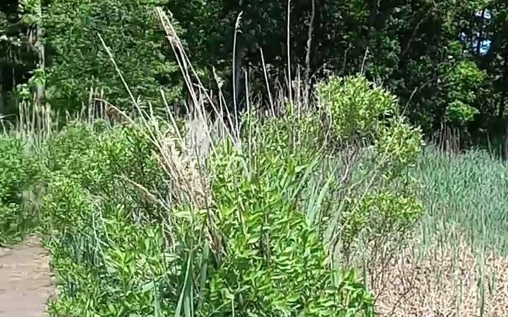 Marshlands Conservancy - Rye, NY