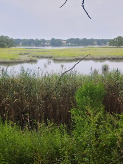 Marshlands Conservancy - Rye, NY