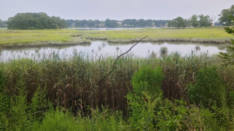 Marshlands Conservancy - Rye, NY