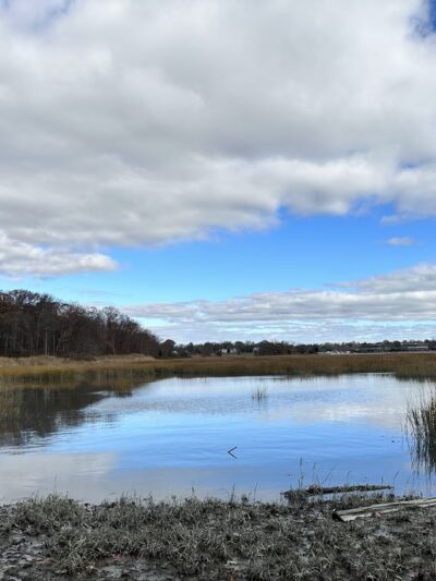 Marshlands Conservancy - Rye, NY