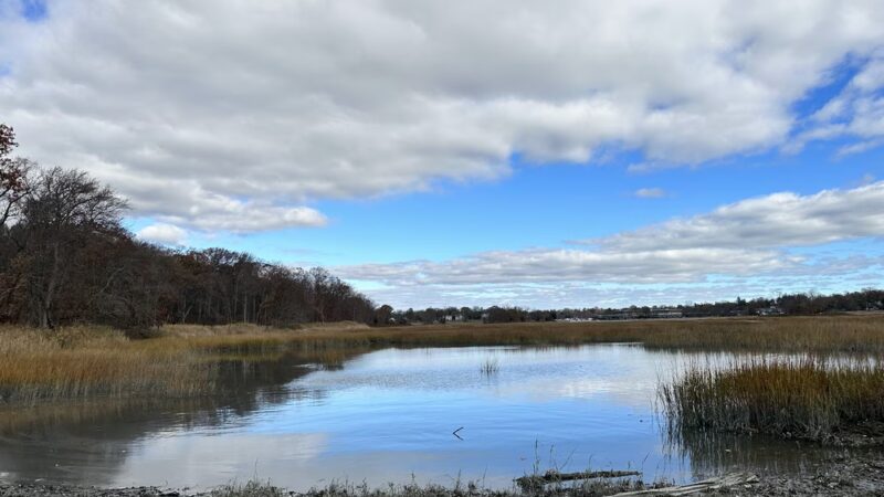 Marshlands Conservancy - Rye, NY