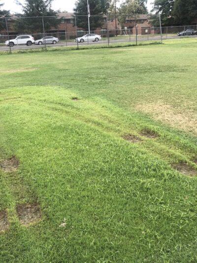 O'Neil Park - Sacramento, CA