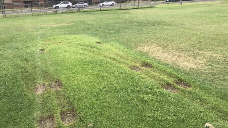 O'Neil Park - Sacramento, CA