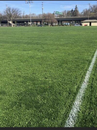 O'Neil Park - Sacramento, CA