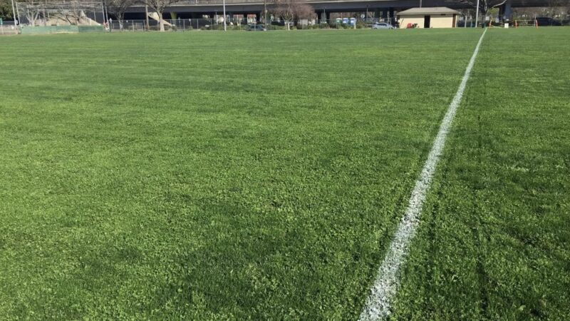 O'Neil Park - Sacramento, CA