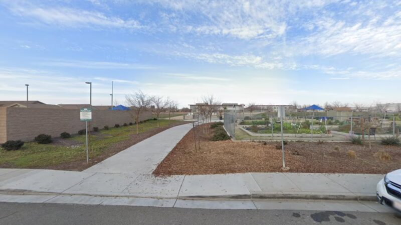Blackbird Dog Park - Sacramento, CA