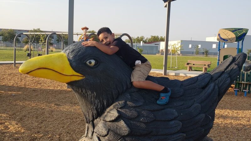 Blackbird Park - Sacramento, CA