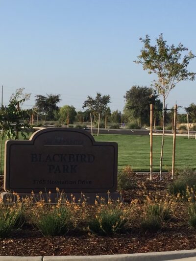 Blackbird Park - Sacramento, CA