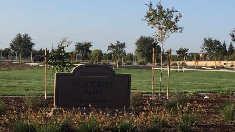 Blackbird Park - Sacramento, CA