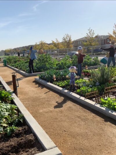 Blackbird Park - Sacramento, CA