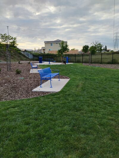 Dog park - Sacramento, CA