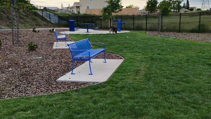 Dog park - Sacramento, CA