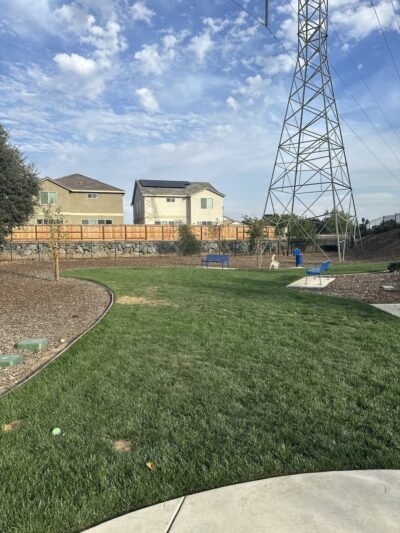 Dog park - Sacramento, CA