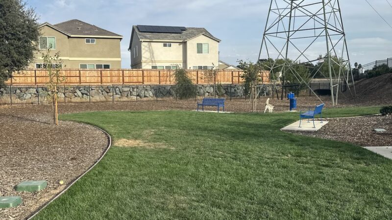 Dog park - Sacramento, CA