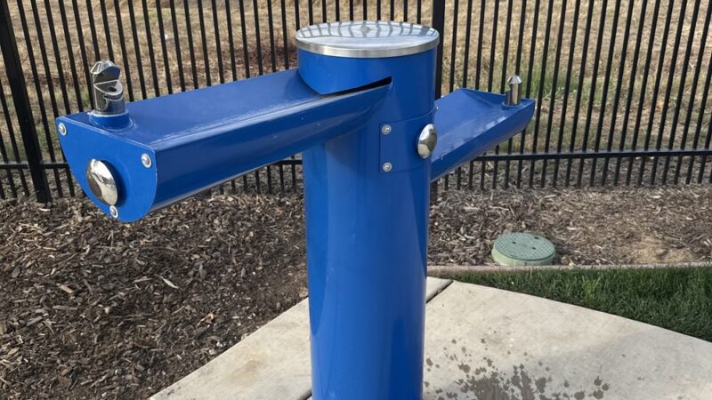 Dog park - Sacramento, CA