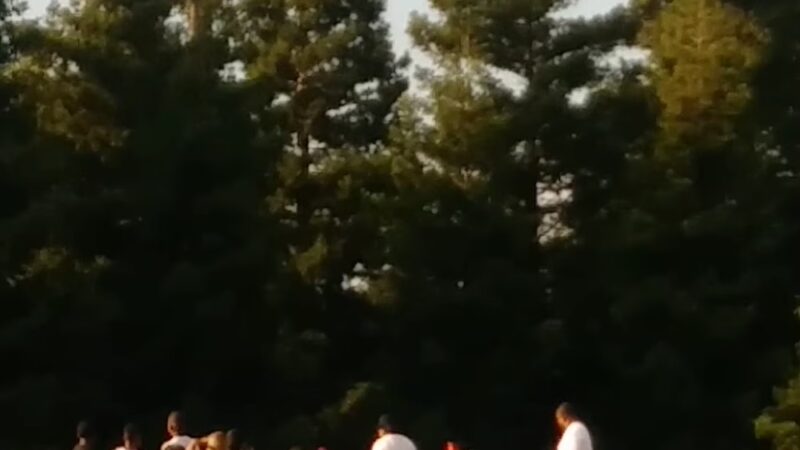 Edwin A. Smith Community Park - Sacramento, CA