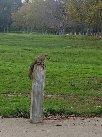 Foothill Community Park - Sacramento, CA