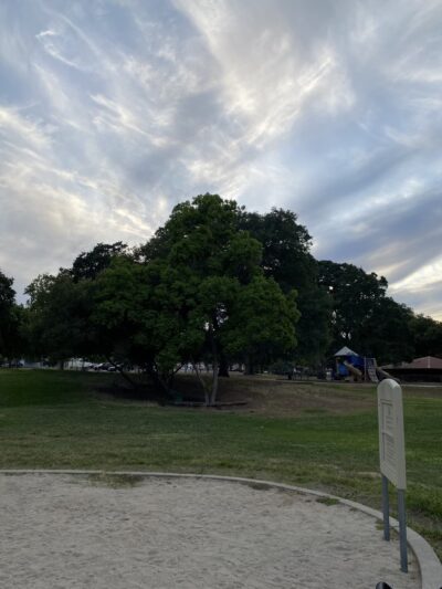 Foothill Community Park - Sacramento, CA