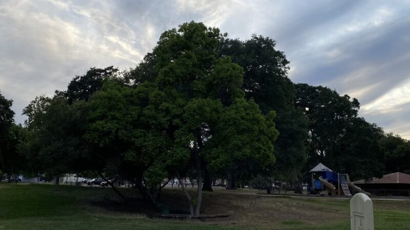 Foothill Community Park - Sacramento, CA