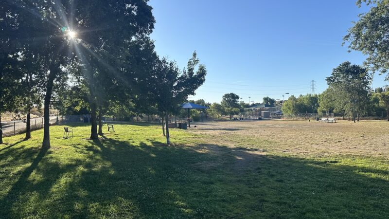 Granite Park Dog Park - Sacramento, CA