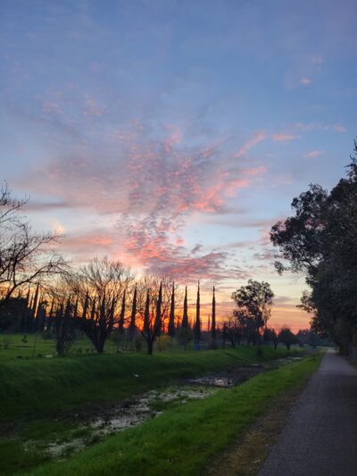 Jack N. Sheldon Park - Sacramento, CA
