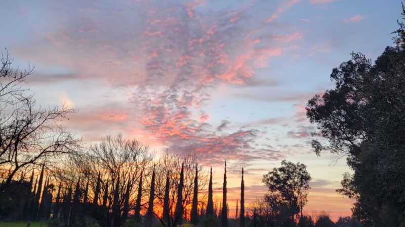 Jack N. Sheldon Park - Sacramento, CA