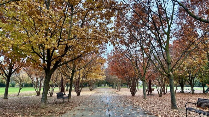 Manuel J. Barandas Park - Sacramento, CA