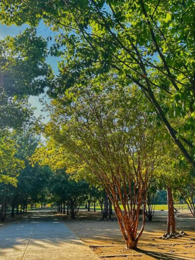 Manuel J. Barandas Park - Sacramento, CA