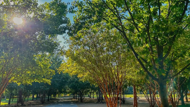 Manuel J. Barandas Park - Sacramento, CA
