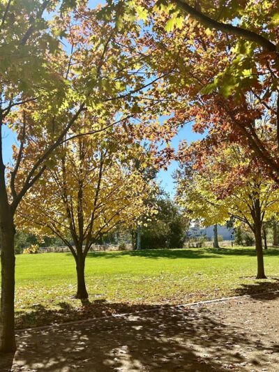 Manuel J. Barandas Park - Sacramento, CA