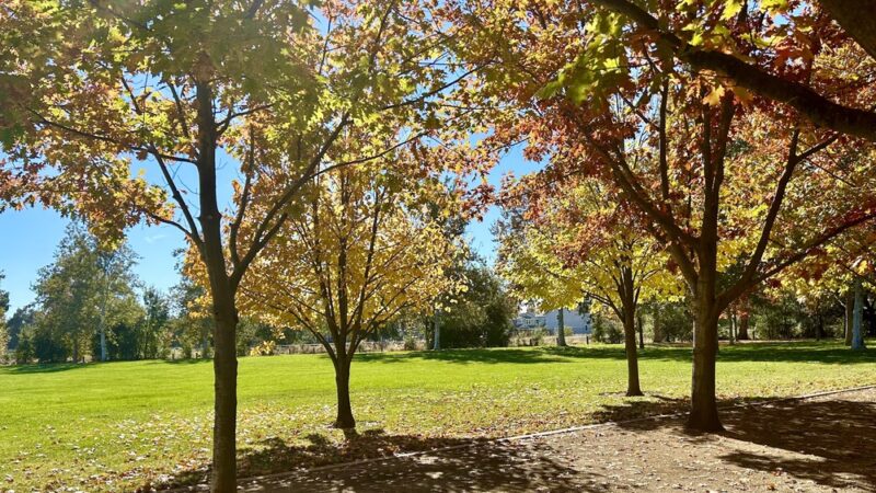 Manuel J. Barandas Park - Sacramento, CA