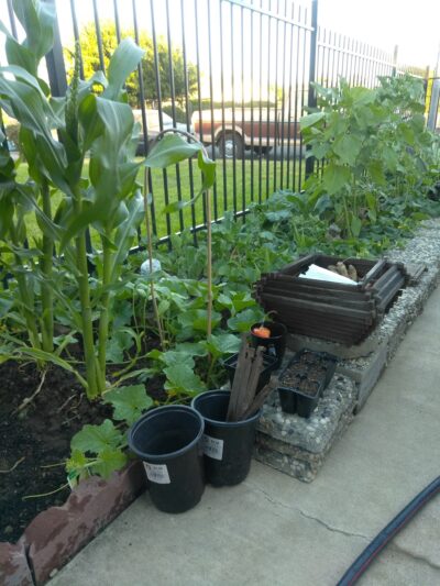 Martin Luther King Jr. Park - Sacramento, CA